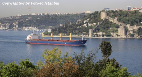 GOLGEN_ELPIS_090510(14)
